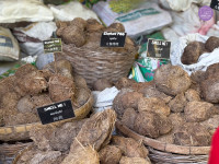 อัตลักษณ์ท้องถิ่น อ.2/2568 ณ Elephant PooPoo Paper Park