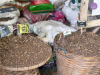 อัตลักษณ์ท้องถิ่น อ.2/2568 ณ Elephant PooPoo Paper Park