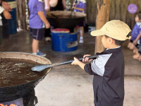 อัตลักษณ์ท้องถิ่น อ.2/2568 ณ Elephant PooPoo Paper Park