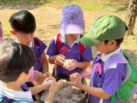 อัตลักษณ์ท้องถิ่น อ.2/2568 ณ Elephant PooPoo Paper Park