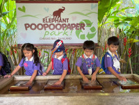 อัตลักษณ์ท้องถิ่น อ.2/2568 ณ Elephant PooPoo Paper Park