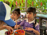 อัตลักษณ์ท้องถิ่น อ.2/2568 ณ Elephant PooPoo Paper Park