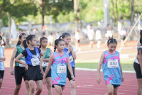 องครักษ์เกมส์ ประมวลภาพ