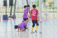 องครักษ์เกมส์ ประมวลภาพ