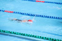 องครักษ์เกมส์ ประมวลภาพ