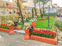 คณะศึกษาศาสตร์ มช. คว้ารางวัลชนะเลิศ! การประกวดตกแต่งภูมิทัศน์ฯ ครั้งที่ 60