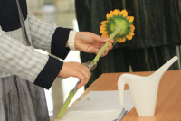 คณะศึกษาศาสตร์ มช. ชวนนักศึกษาฝึกใจให้อยู่กับปัจจุบัน ผ่านวิถีแห่งความงาม {Kohrinka} ศิลปะการจัดดอกไม้แบบญี่ปุ่น