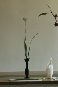 คณะศึกษาศาสตร์ มช. ชวนนักศึกษาฝึกใจให้อยู่กับปัจจุบัน ผ่านวิถีแห่งความงาม {Kohrinka} ศิลปะการจัดดอกไม้แบบญี่ปุ่น