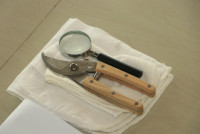 คณะศึกษาศาสตร์ มช. ชวนนักศึกษาฝึกใจให้อยู่กับปัจจุบัน ผ่านวิถีแห่งความงาม {Kohrinka} ศิลปะการจัดดอกไม้แบบญี่ปุ่น