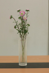 คณะศึกษาศาสตร์ มช. ชวนนักศึกษาฝึกใจให้อยู่กับปัจจุบัน ผ่านวิถีแห่งความงาม {Kohrinka} ศิลปะการจัดดอกไม้แบบญี่ปุ่น