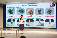 กิจกรรม กิจกรรม Exit Project - Smart Unit D.I.D : Dream  in Development ป.6