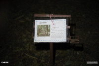 ค่ายลูกเสือ ปีการศึกษา 2568