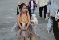 ITPC Students' Showcase 2025