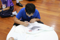 Friendship Journey โรงเรียนประถม Donghu