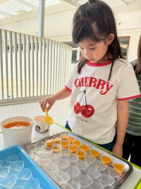 2569 Summer Camp ธีม Colors for fun สำหรับนักเรียนชั้น อ.2 (รหัสนักเรียน 67)