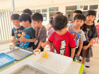 2569 Summer Camp ธีม Colors for fun สำหรับนักเรียนชั้น อ.2 (รหัสนักเรียน 67)