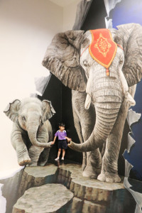 2569 Summer Camp ธีม Colors for fun สำหรับนักเรียนชั้น อ.2 (รหัสนักเรียน 67)