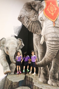 2569 Summer Camp ธีม Colors for fun สำหรับนักเรียนชั้น อ.2 (รหัสนักเรียน 67)