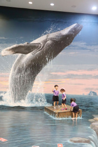 2569 Summer Camp ธีม Colors for fun สำหรับนักเรียนชั้น อ.2 (รหัสนักเรียน 67)