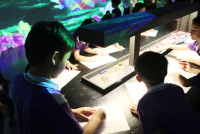 2569 Summer Camp ธีม Colors for fun สำหรับนักเรียนชั้น อ.2 (รหัสนักเรียน 67)