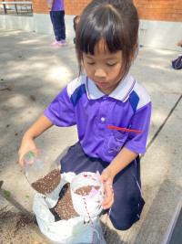 2569 Summer Camp ธีม Junior Green สำหรับนักเรียนชั้น ป.1 (รหัสนักเรียน 68) 