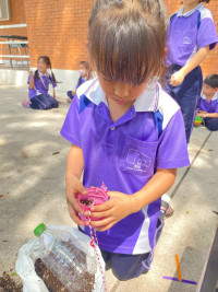 2569 Summer Camp ธีม Junior Green สำหรับนักเรียนชั้น ป.1 (รหัสนักเรียน 68) 