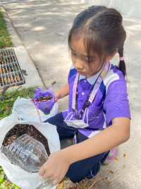 2569 Summer Camp ธีม Junior Green สำหรับนักเรียนชั้น ป.1 (รหัสนักเรียน 68) 