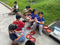 2569 Summer Camp ธีม Nature Colors for a Sustainable World สำหรับนักเรียนชั้น ป.2 (รหัสนักเรียน 67)