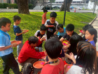 2569 Summer Camp ธีม Nature Colors for a Sustainable World สำหรับนักเรียนชั้น ป.2 (รหัสนักเรียน 67)