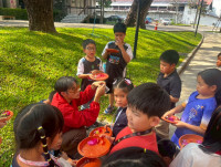 2569 Summer Camp ธีม Nature Colors for a Sustainable World สำหรับนักเรียนชั้น ป.2 (รหัสนักเรียน 67)