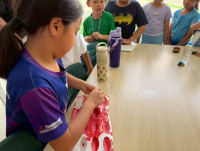 2569 Summer Camp ธีม Nature Colors for a Sustainable World สำหรับนักเรียนชั้น ป.2 (รหัสนักเรียน 67)