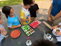 2569 Summer Camp ธีม Nature Colors for a Sustainable World สำหรับนักเรียนชั้น ป.2 (รหัสนักเรียน 67)