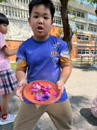 2569 Summer Camp ธีม Nature Colors for a Sustainable World สำหรับนักเรียนชั้น ป.2 (รหัสนักเรียน 67)