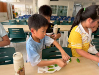 2569 Summer Camp ธีม Nature Colors for a Sustainable World สำหรับนักเรียนชั้น ป.2 (รหัสนักเรียน 67)