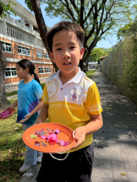 2569 Summer Camp ธีม Nature Colors for a Sustainable World สำหรับนักเรียนชั้น ป.2 (รหัสนักเรียน 67)