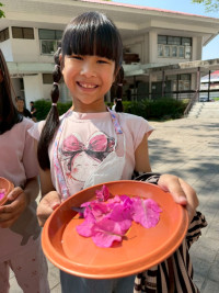 2569 Summer Camp ธีม Nature Colors for a Sustainable World สำหรับนักเรียนชั้น ป.2 (รหัสนักเรียน 67)