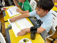 2569 Summer Camp ธีม Solar Art Experiments สำหรับนักเรียนชั้น ป.3 (รหัสนักเรียน 66)