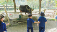 2569 Summer Camp ธีม old macdonald had a farm สำหรับนักเรียนชั้น อ.1 (รหัสนักเรียน 68) 