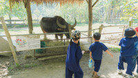 2569 Summer Camp ธีม old macdonald had a farm สำหรับนักเรียนชั้น อ.1 (รหัสนักเรียน 68) 