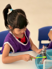 2569 Summer Camp ธีม old macdonald had a farm สำหรับนักเรียนชั้น อ.1 (รหัสนักเรียน 68) 