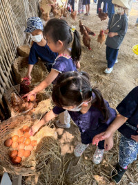 2569 Summer Camp ธีม old macdonald had a farm สำหรับนักเรียนชั้น อ.1 (รหัสนักเรียน 68) 