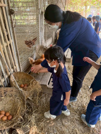 2569 Summer Camp ธีม old macdonald had a farm สำหรับนักเรียนชั้น อ.1 (รหัสนักเรียน 68) 