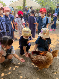 2569 Summer Camp ธีม old macdonald had a farm สำหรับนักเรียนชั้น อ.1 (รหัสนักเรียน 68) 