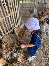 2569 Summer Camp ธีม old macdonald had a farm สำหรับนักเรียนชั้น อ.1 (รหัสนักเรียน 68) 