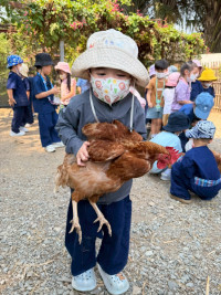 2569 Summer Camp ธีม old macdonald had a farm สำหรับนักเรียนชั้น อ.1 (รหัสนักเรียน 68) 