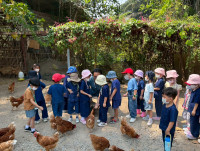 2569 Summer Camp ธีม old macdonald had a farm สำหรับนักเรียนชั้น อ.1 (รหัสนักเรียน 68) 