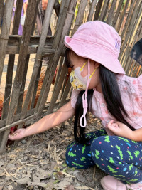 2569 Summer Camp ธีม old macdonald had a farm สำหรับนักเรียนชั้น อ.1 (รหัสนักเรียน 68) 