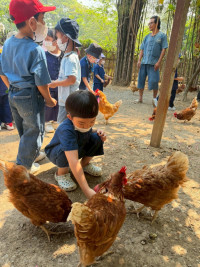 2569 Summer Camp ธีม old macdonald had a farm สำหรับนักเรียนชั้น อ.1 (รหัสนักเรียน 68) 