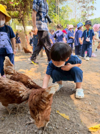 2569 Summer Camp ธีม old macdonald had a farm สำหรับนักเรียนชั้น อ.1 (รหัสนักเรียน 68) 
