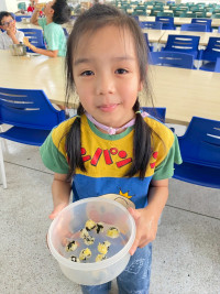 2569 Summer Camp ธีม Yummy buddies สำหรับนักเรียนชั้น ป.1 (รหัสนักเรียน 68)